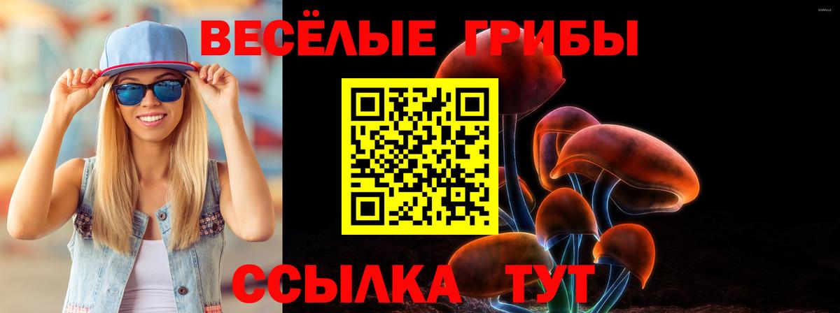 Галлюциногенные грибы Cubensis  Галлюциногенные грибы мицелий  Чапаевск  как найти   Вход с VPN 